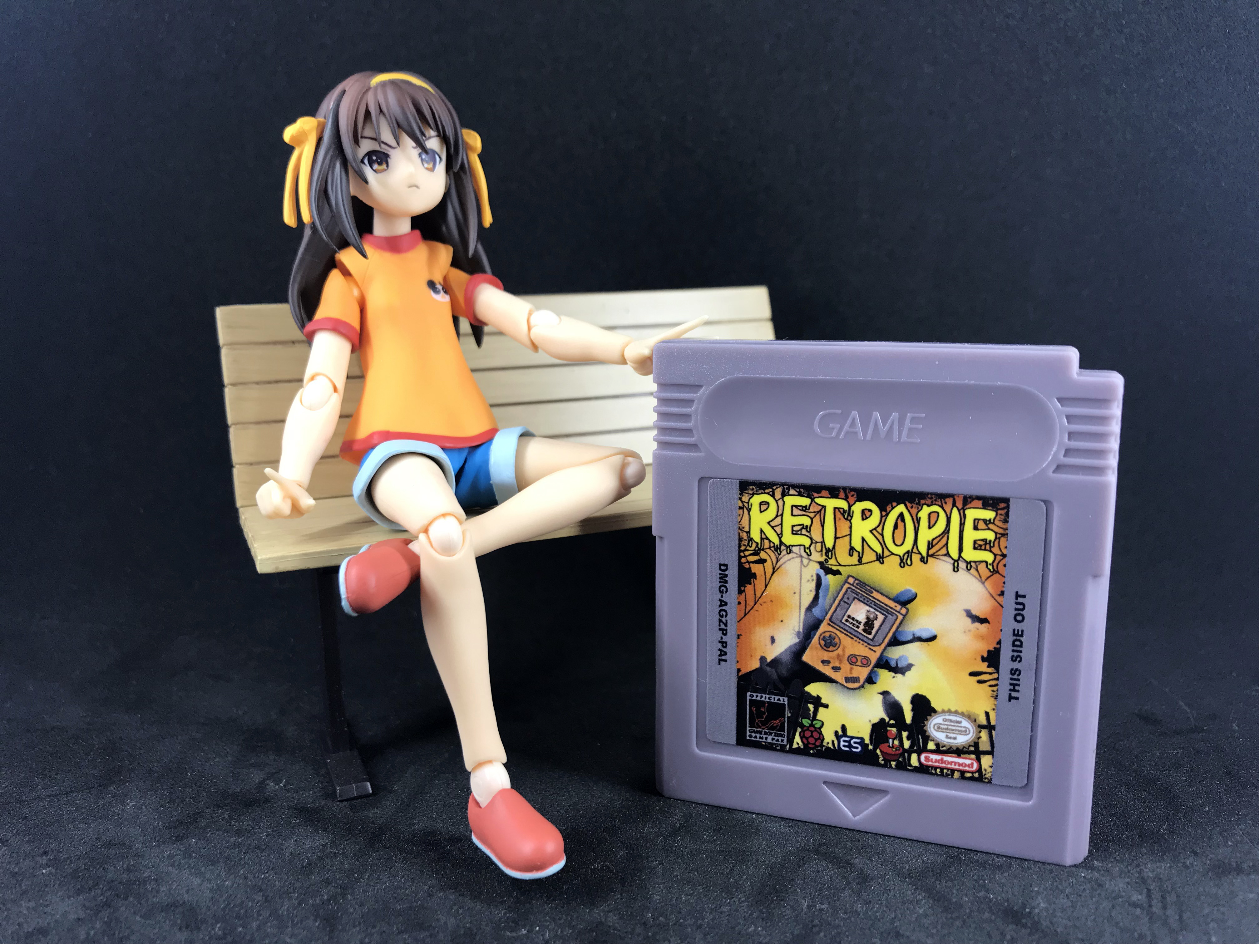 Cartridge-GBZ-RPIZ-RETROPIE-HALLOWEEN-picture.jpg